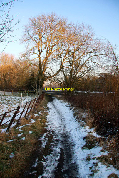 Photo 6"x4" The Thames Path to Shiplake Sonning c2012
