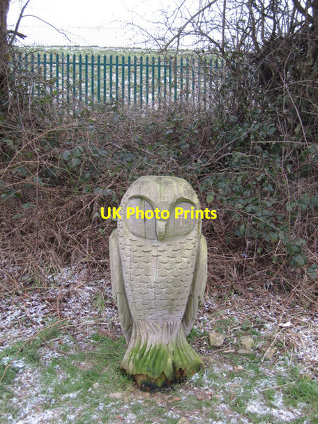 Photo 6"x4" Carved owl in Falsgrave Park Scarborough\/TA0388 c2012