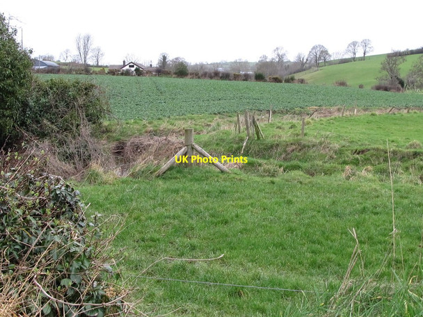 Photo 6"x4" A crop of kale in the upper Clanrye Valley Rathfriland c2012