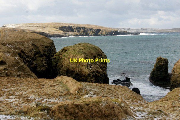 Photo 6"x4" Osmis Geo, Westing Underhoull c2012