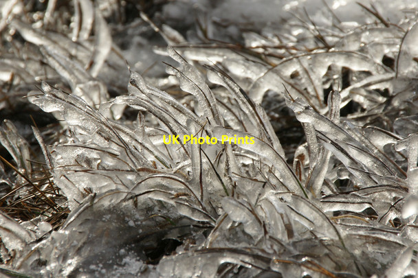 Photo 6"x4" Ice-glazed grass beside Wester Loch, Uyeasound Uyeasound c2012