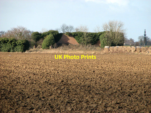 Photo 6"x4" Ivy-clad gun target wall on the edge of Ludham airfield Fritton\/TG4018 c2012