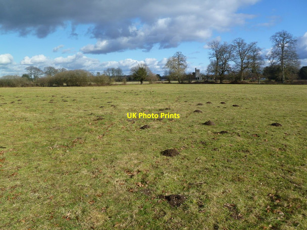 Photo 6"x4" Harbridge, molehills Harbridge c2012