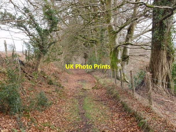 Photo 6"x4" Llwybr troed Cwmygigfran footpath, Cwmdu Cwmdu\/SN6330 c2012
