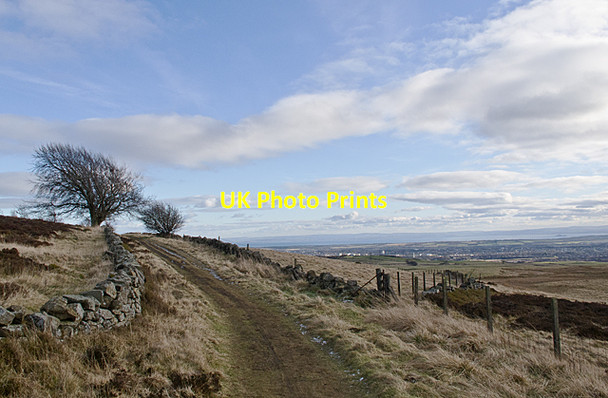 Photo 6"x4" Track near East Lomond Falkland c2012