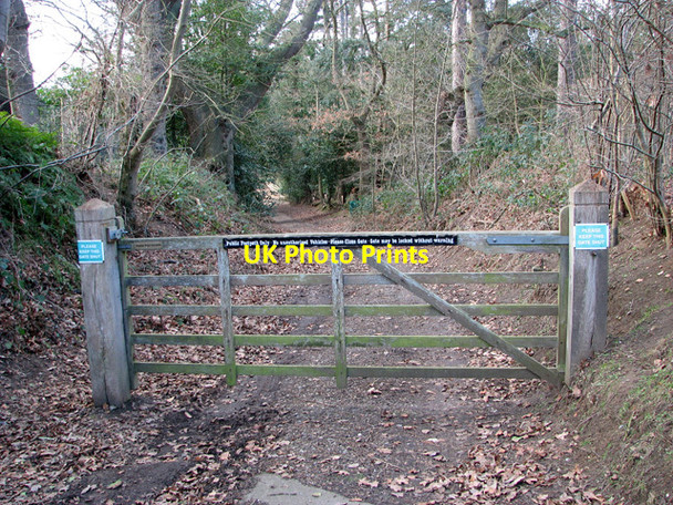 Photo 6"x4" Footpath to the River Ant, How Hill How Hill\/TG3719 c2012