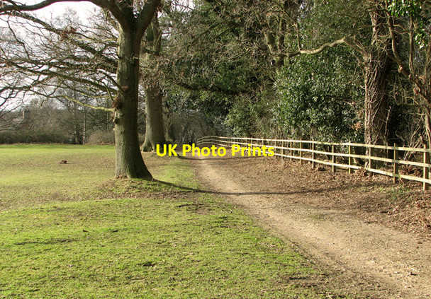 Photo 6"x4" Footpath to Toad Hole Cottage from How Hill, Ludham How Hill\/TG3719 c2012