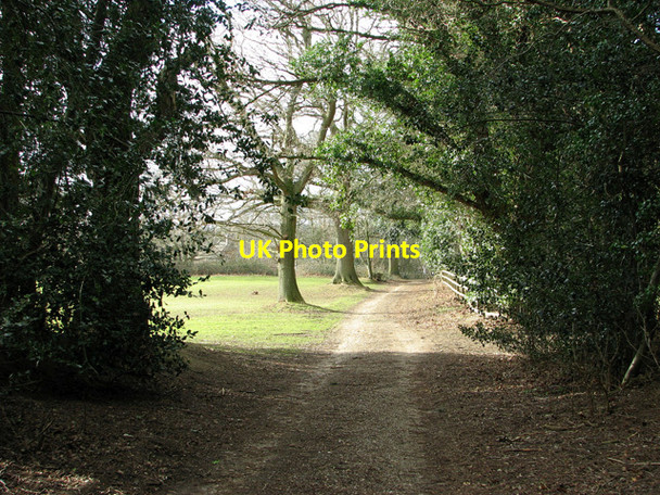 Photo 6"x4" To the River Ant from How Hill, Ludham How Hill\/TG3719 c2012