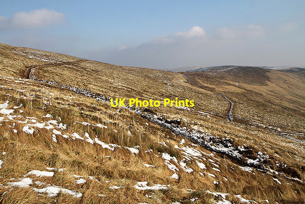 Photo 6"x4" A new forestry plantation on Ward Law and Thirlestane Hill Ettrick c2012