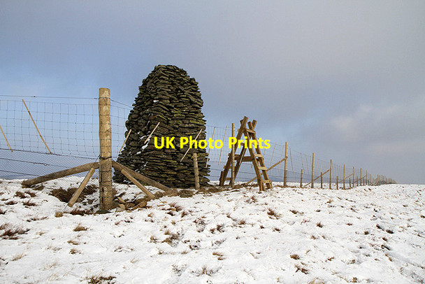 Photo 6"x4" The Jubilee Cairn on Ward Law Ettrick c2012