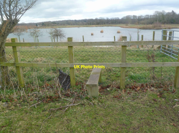 Photo 6"x4" Ibsley, stile Ibsley c2012