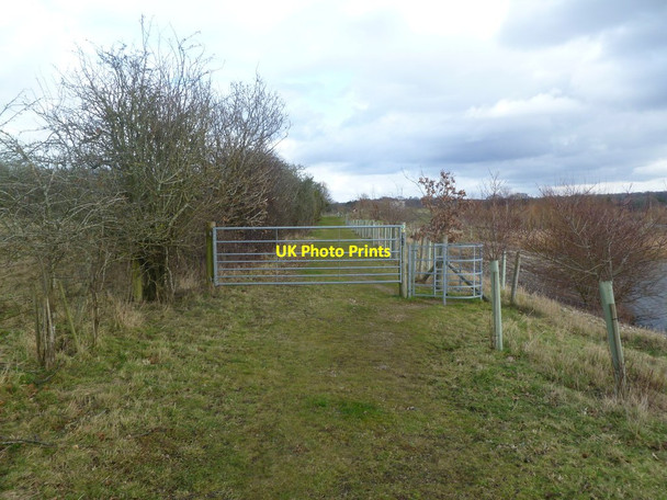 Photo 6"x4" Ibsley, gates Ibsley c2012