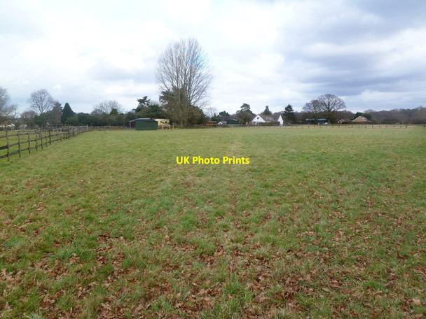 Photo 6"x4" South Gorley, footpath Ibsley c2012