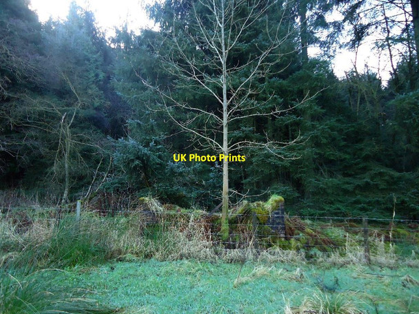 Photo 6"x4" Castlecary Glen ruin Castlecary c2012