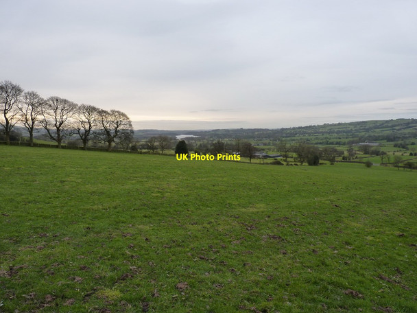 Photo 6"x4" A footpath across pasture Roche Grange c2012