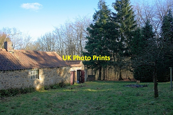Photo 6"x4" Old Farmstead, Gilling Wood Yearsley c2012
