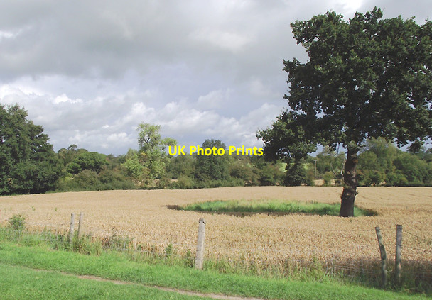 Photo 6"x4" Crop fields at Barbridge, Cheshire Barbridge c2011