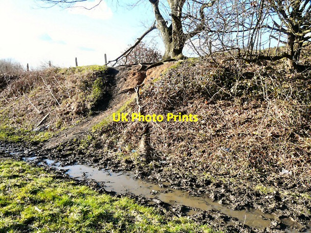 Photo 6"x4" Former railway embankment Hyde\/SJ9494 c2012