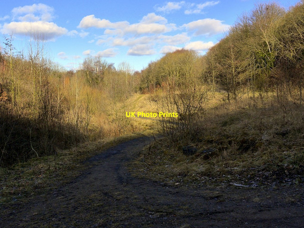 Photo 6"x4" Blaydon Burn valley Blaydon c2012