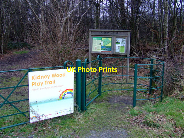 Photo 6"x4" Kidney Wood Luton\/TL0921 c2012