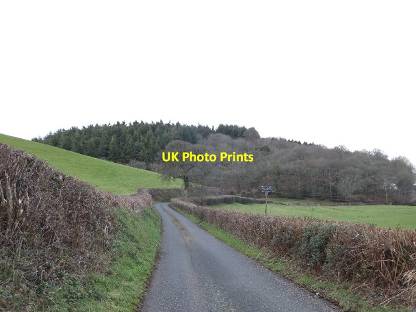 Photo 6"x4" Meetford Wood Venny Tedburn c2012
