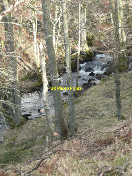 Photo 6"x4" Dowally Burn  Dalguise c2012