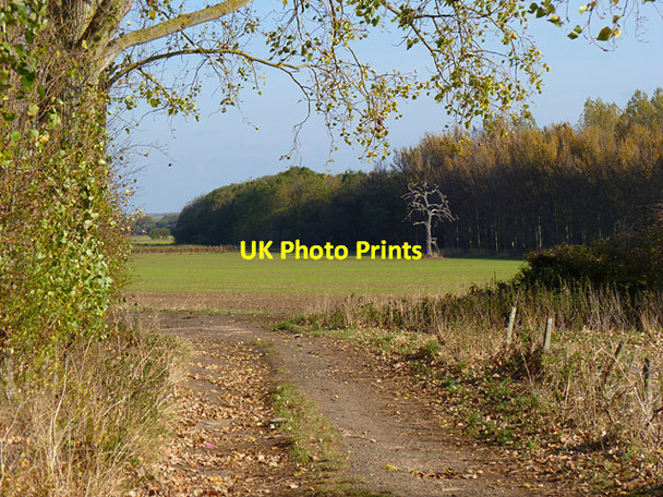 Photo 6"x4" Track, farmland and woodland, Stadhampton Chislehampton c2011