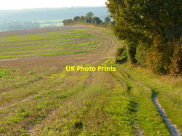 Photo 6"x4" Farmland, Meonstoke Corhampton c2011
