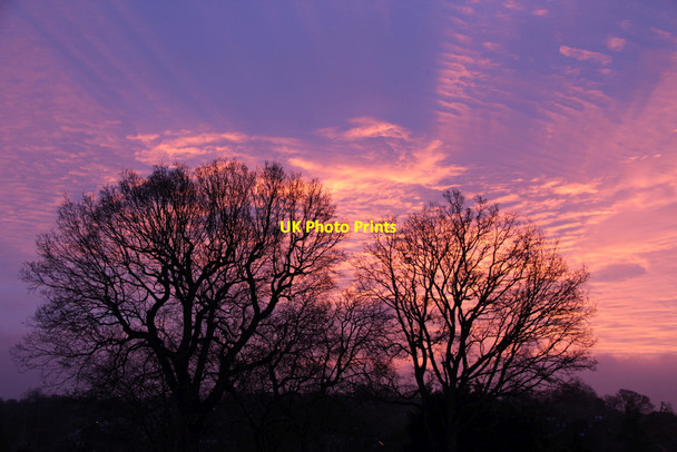 Photo 6"x4" Sunrise, London N14 Southgate\/TQ3094 c2012