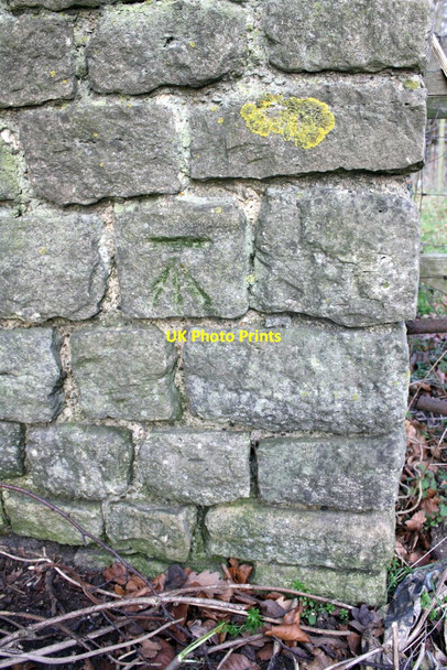 Photo 6"x4" Benchmark on wall of Shillingford Road Wallingford c2012