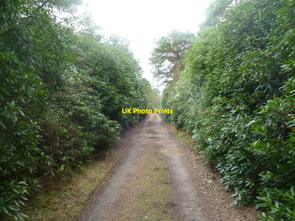 Photo 6"x4" Lower Hyde Heath, drive Cold Harbour\/SY9089 c2012