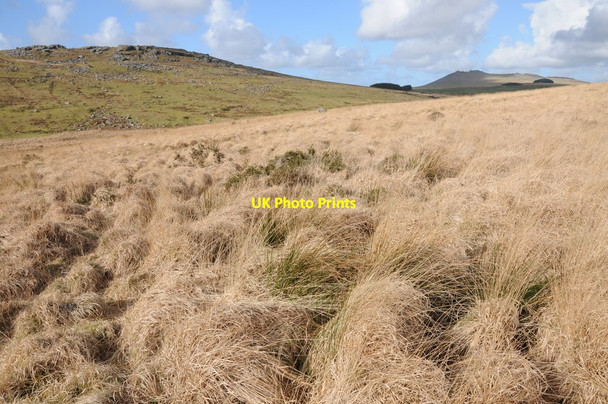 Photo 6"x4" Garrow Downs Tolborough c2012