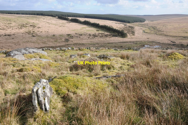 Photo 6"x4" Butterstor Downs Tolborough c2012