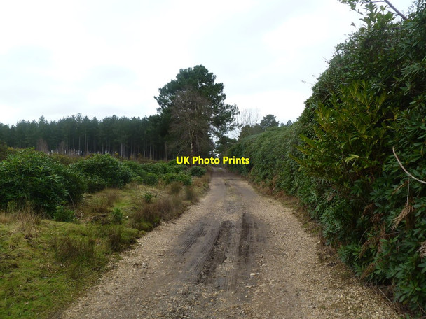 Photo 6"x4" Lower Hyde Heath, drive Warren\/SY8591 c2012