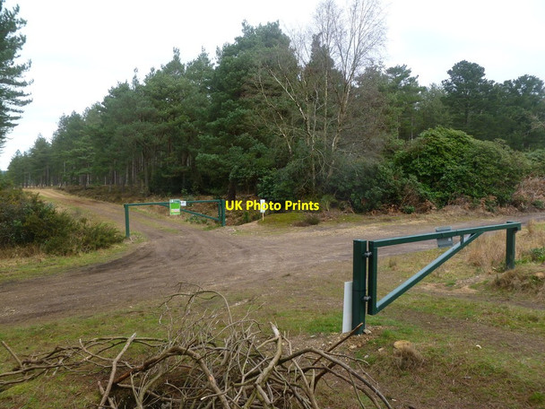 Photo 6"x4" Lower Hyde Heath, track junction Warren\/SY8591 c2012