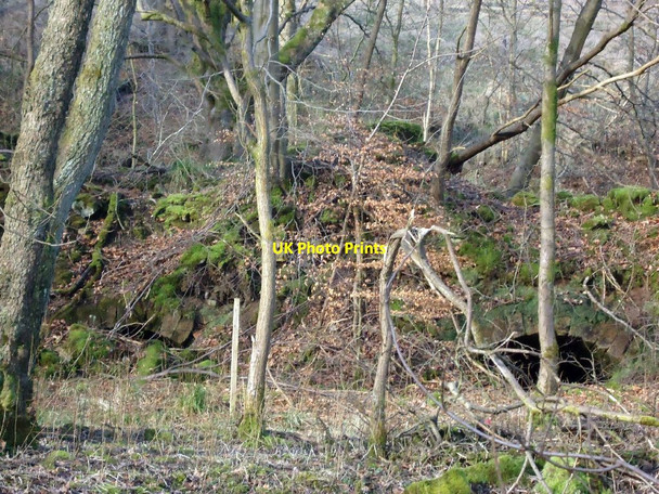 Photo 6"x4" Castlecary Limeworks Castlecary c2012
