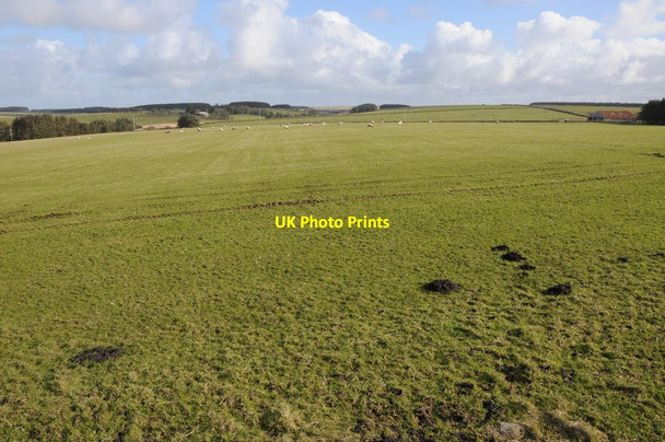 Photo 6"x4" Grazing land north of Roughtor Road Highertown\/SX1281 c2012