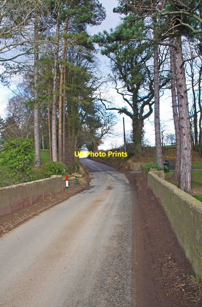 Photo 6"x4" Station Road near Dorrington Great Ryton c2012