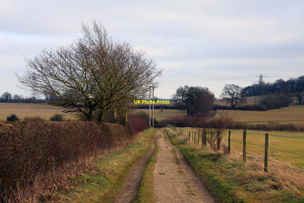 Photo 6"x4" Track to Boars Hill Botley\/SP4805 c2012