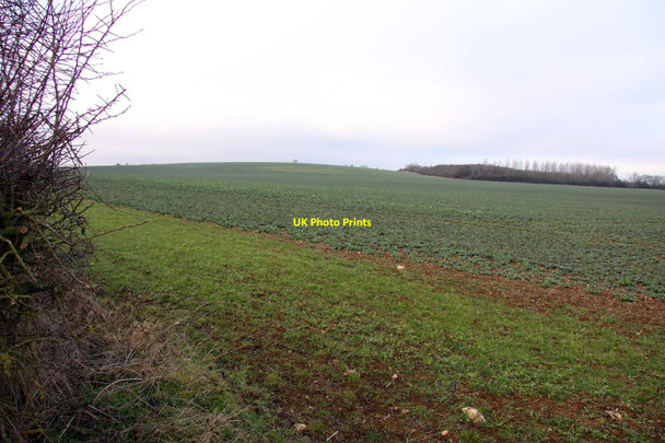 Photo 6"x4" Field by Cumnor Hill Botley\/SP4805 c2012