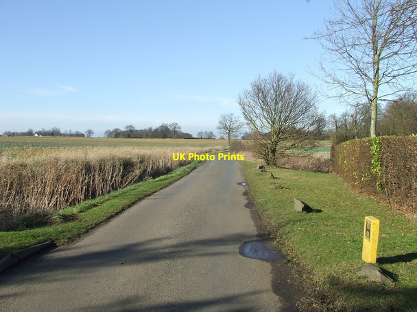 Photo 6"x4" Country Road Little Henny c2012
