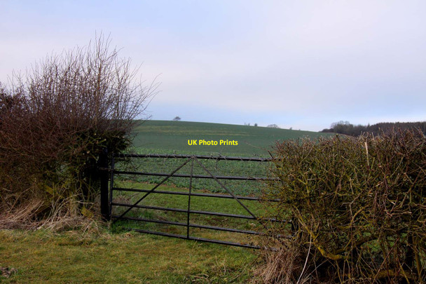 Photo 6"x4" Gate to a field Botley\/SP4805 c2012