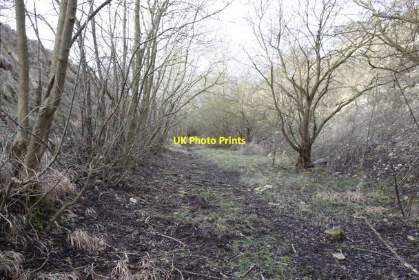 Photo 6"x4" Further along the cutting Upton\/SU5186 c2012
