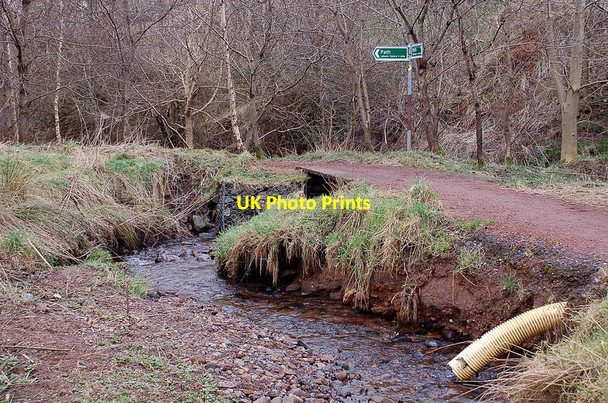 Photo 6"x4" Path junction by the Cuiken Burn Penicuik c2012