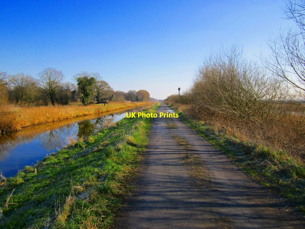 Photo 6"x4" Cycle path through Shapwick Heath Ashcott Corner c2012