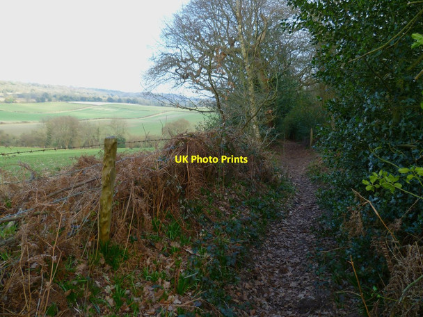 Photo 6"x4" Bridleway to Water Lane Newlands Corner c2012
