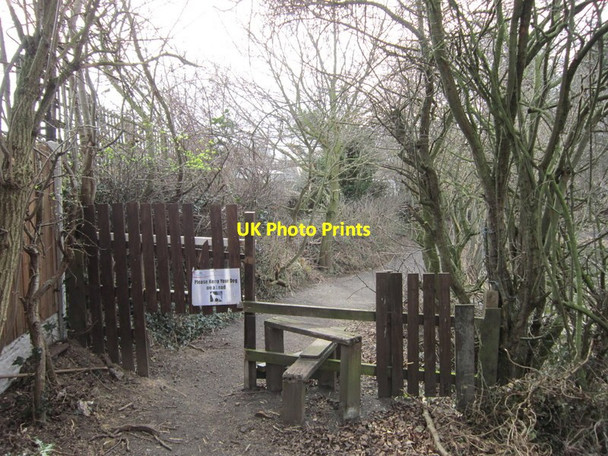 Photo 6"x4" The start of the path around the fishing lake Littleworth\/SK6298 c2012