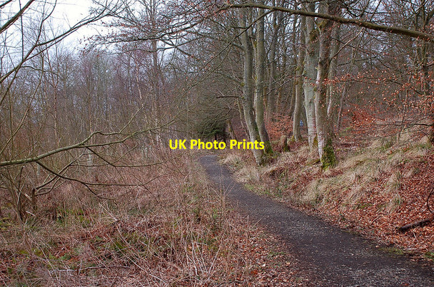 Photo 6"x4" Path in Lowrie's Den Penicuik c2012