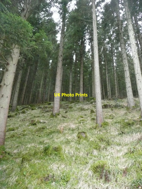 Photo 6"x4" Looking up towards Creag Bheag Inver\/NO0142 c2012