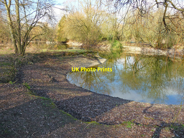Photo 6"x4" Charlton - Charlton Lakes Drought Andover c2012